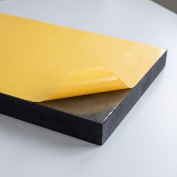 PolySound Akustikschaum Plattenabsorber glatt aus Basotect® Dark EcoBalanced - schwarz - 100cm x 50cm - optimiere deine Raumakustik