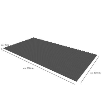 PolySound Noppenschaumstoff anthrazit 200 × 100 cm (2 m²), 2 cm