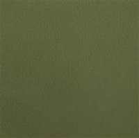 Kunstleder: maigrün