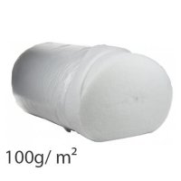 100g/m²